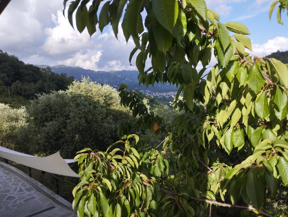 Villa Degli Ulivi Tivegna 외부 사진