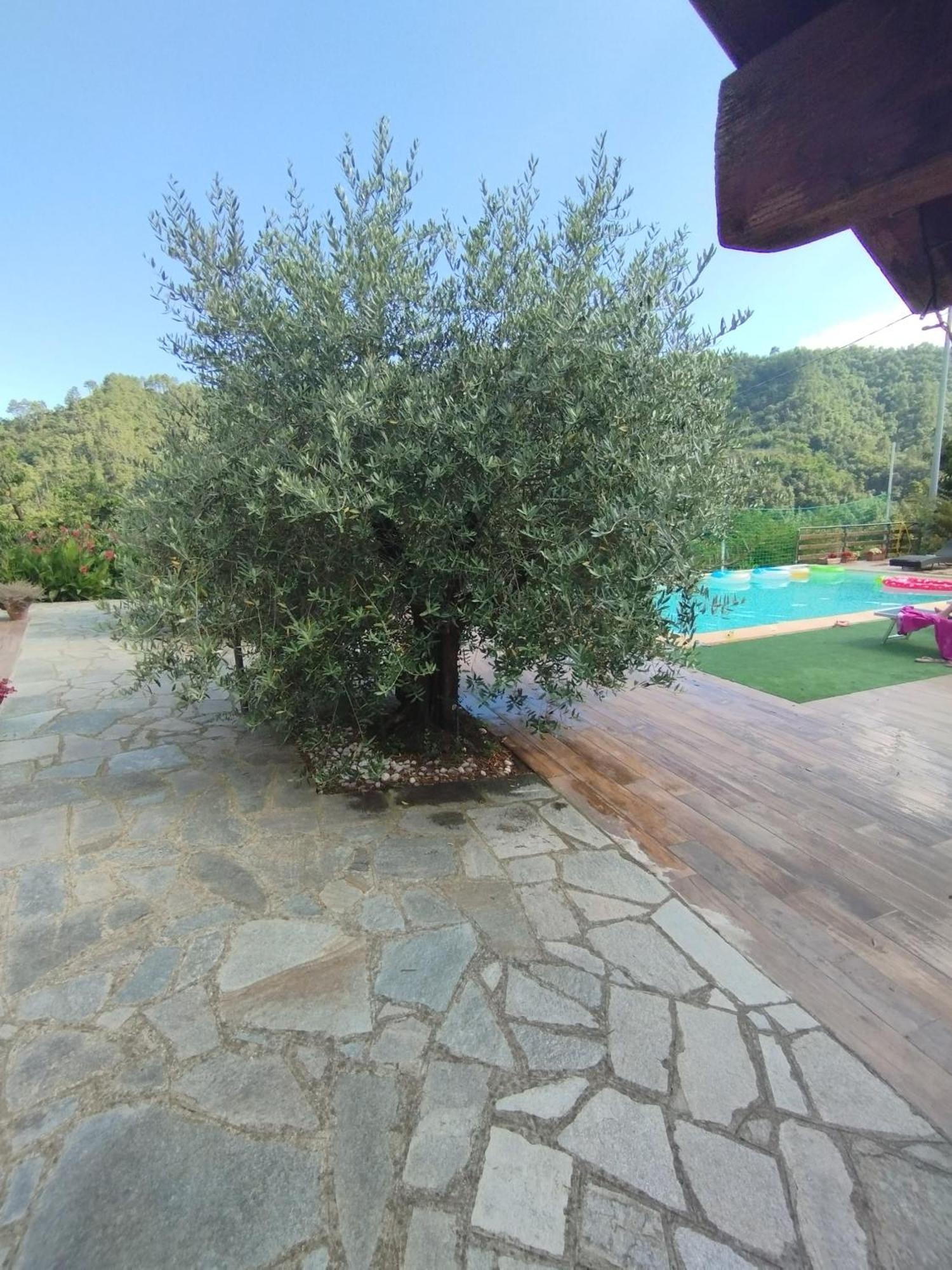 Villa Degli Ulivi Tivegna 외부 사진