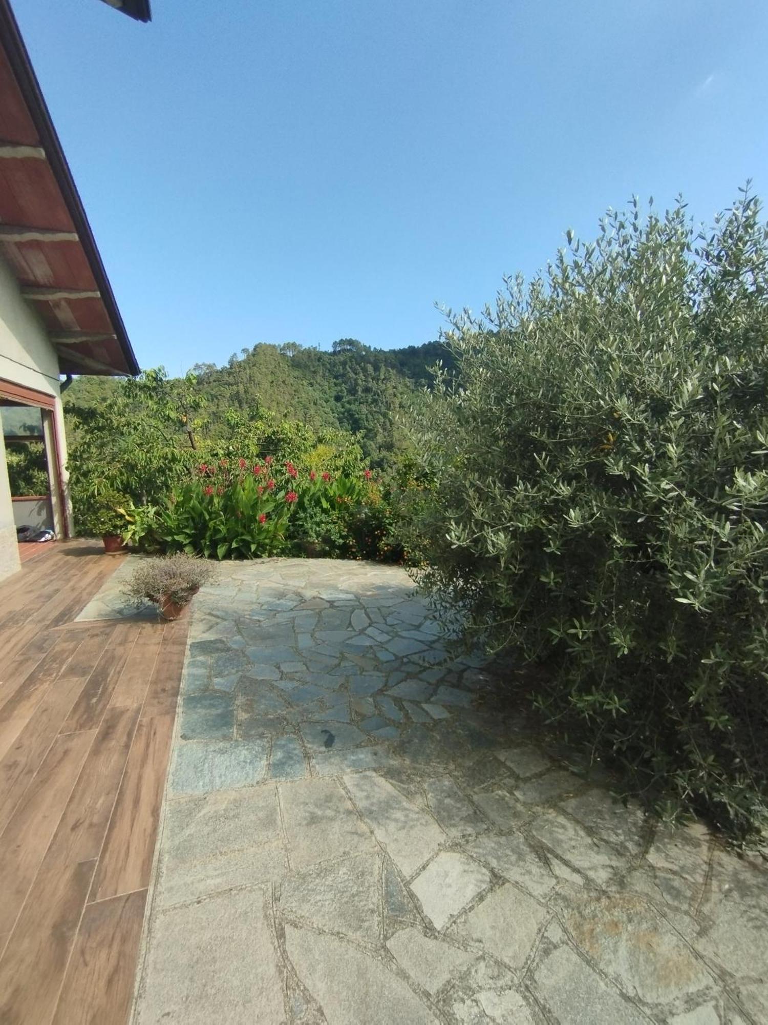 Villa Degli Ulivi Tivegna 외부 사진
