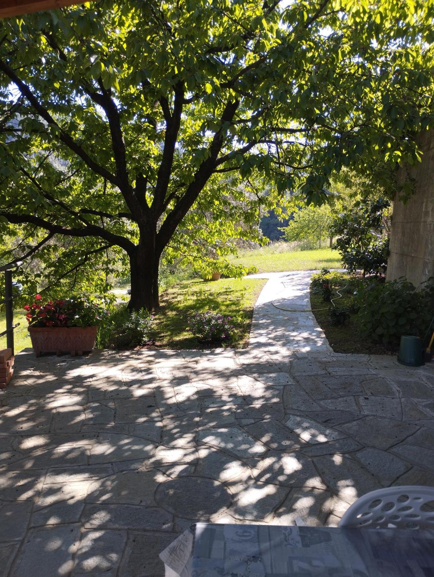 Villa Degli Ulivi Tivegna 외부 사진