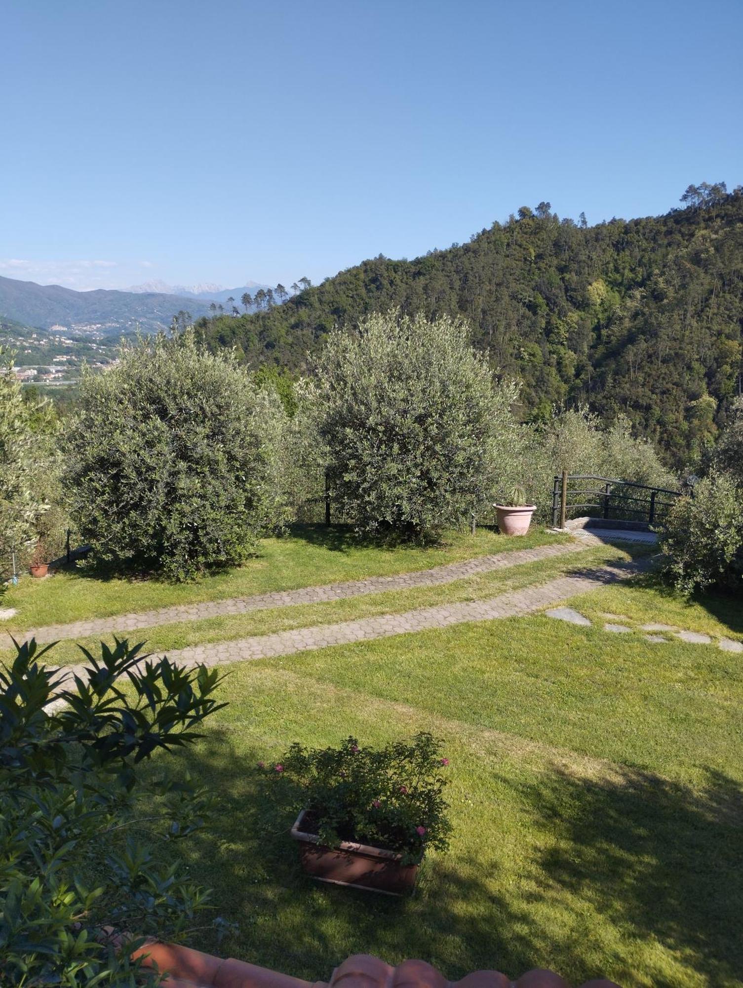Villa Degli Ulivi Tivegna 외부 사진